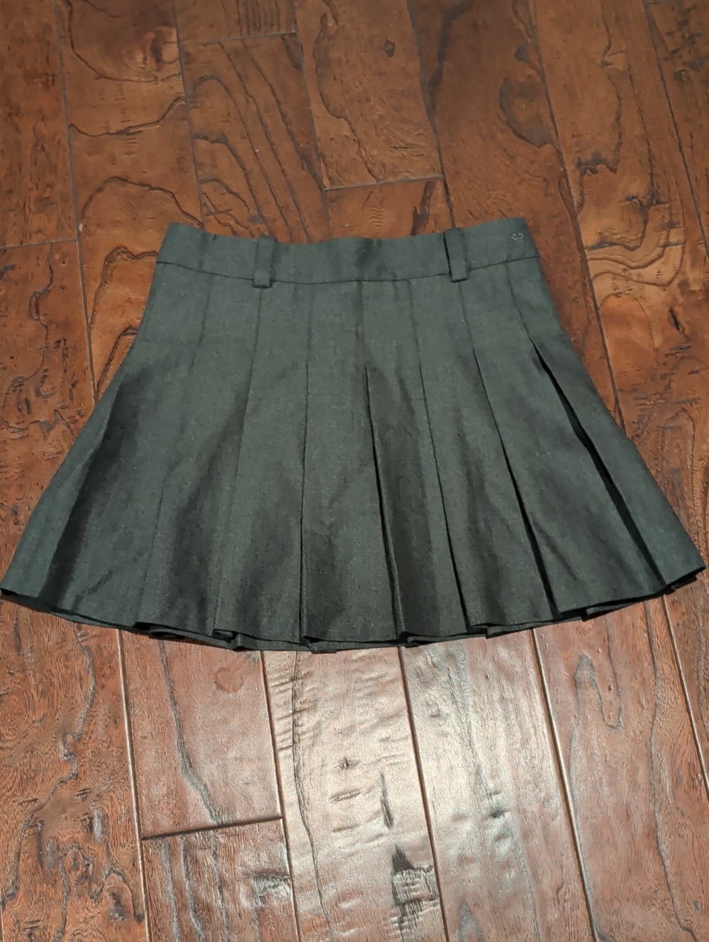 Aritzia Charcoal Pleated Skater Skirt